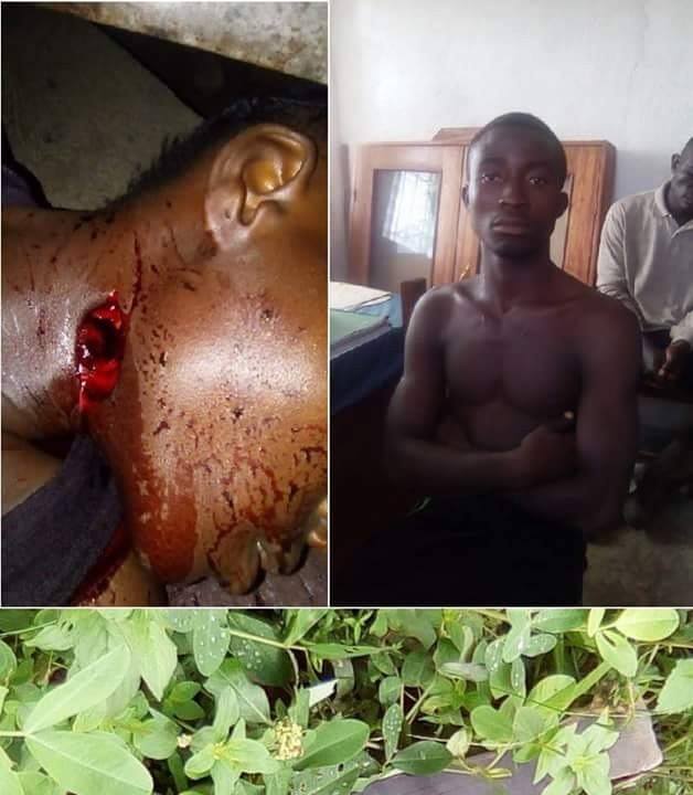 19-year-old man butchers his 26-year-old girlfriend with cutlass in Liberia over money