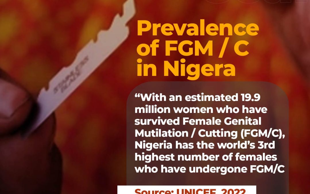 Female Genital Mutilation (FGM)