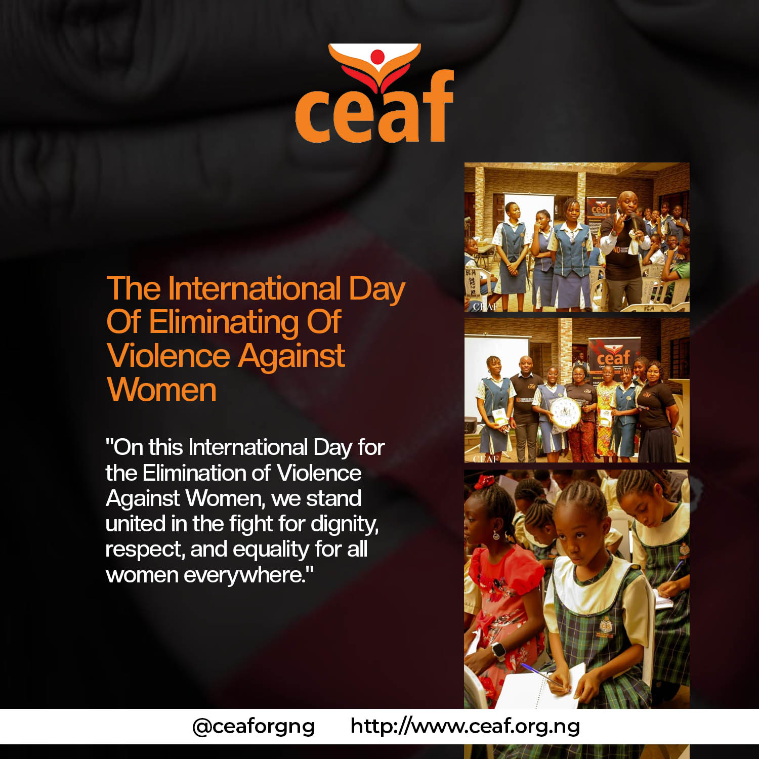 International Day for the Elimination of Violence Against Women: A Call to Action 
